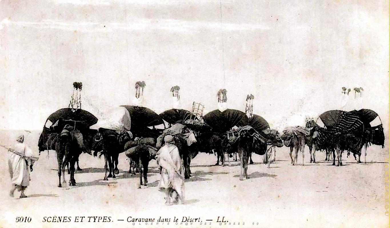 Algerie - Caravane dans le Desert.jpg